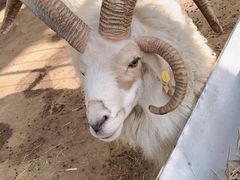 -南宫五洲植物乐园