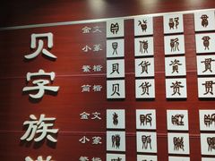-青岛贝壳博物馆