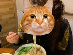 -蜀宴小调·精致家常菜(来福士店)