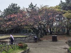 -名古屋城