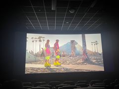 -华美国际影城(旧宫永辉店)