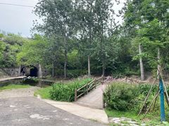 -白水寺森林公园