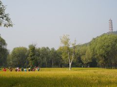 -北坞公园
