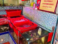 -巽寮印象美食部落餐厅·海鲜·地方特色菜(惠州体验店)