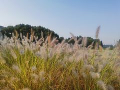 -上海植物园-4号门售票处