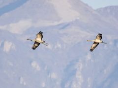 -野鸭湖国家湿地公园