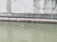 -黄兴公园