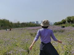 -汉长安城未央宫国家考古遗址公园