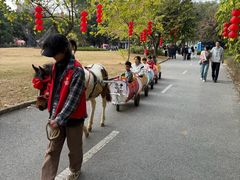 -南沙蒲洲花园