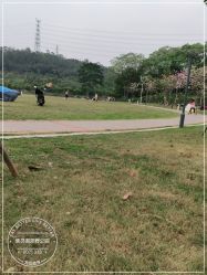 -佛灵湖水上乐园