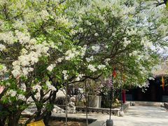 -内蒙古将军衙署博物院