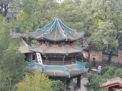 -花奶奶酸梅汤·晨晨的店(大皮院西口店)