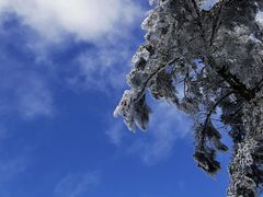 -瓦屋山景区
