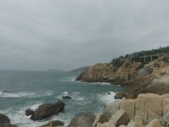-广东惠东海龟国家级自然保护区