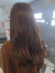 -藤野造型