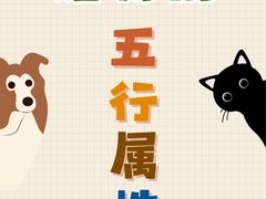 -立德异宠动物医院.兔鸟爬.内窥镜(天河店)