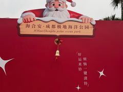 -海合安成都极地海洋公园