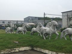 -胜华驾校·小猫学车(银都店)