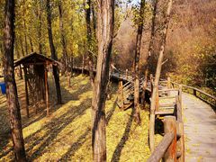 -蟠龙山长城景区