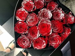 -王尔德与花