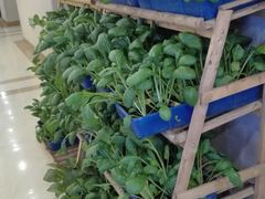 -紫玉轩精菜馆(东川路店)