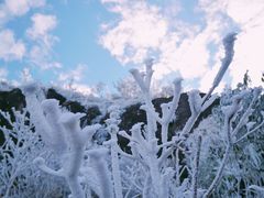 -金子山原生态旅游风景区