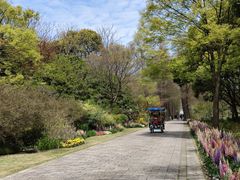 -上海滨江森林公园