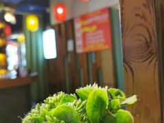 -皖北学东地锅鸡(之心城店)