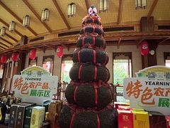 -雁南飞茶田景区