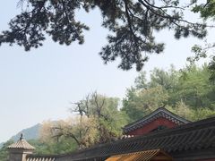 -阳台山自然风景区