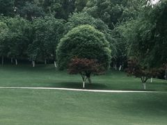 -重庆中央公园(渝北区)