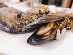 -渔中舟海鲜大排档(普陀沈家门店)