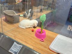 -狗道宠物(常熟印象城店)