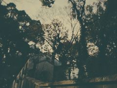 -上海佘山国家森林公园西佘山园