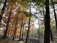 -白水寺森林公园