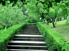 -南山植物园