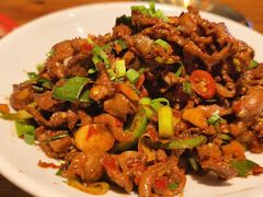 -柴窝堡22号辣子鸡·传承新疆菜