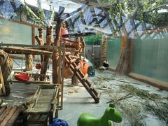 -青藏高原野生动物园