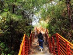 -彩色沙林风景区