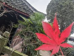 -峨眉山报国寺