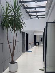 -无界瑜伽普拉提