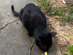 -南京工程学院(江宁校区)