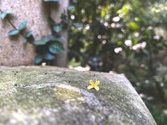 -杭州少年儿童公园