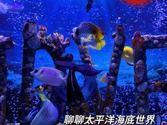 -太平洋海底世界