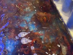 -星伦多自助料理(永旺店)