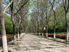 -洛阳市隋唐城遗址植物园