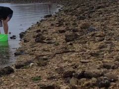 -金沙滩度假村