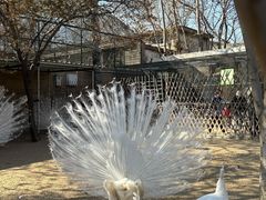 -保定市动物园
