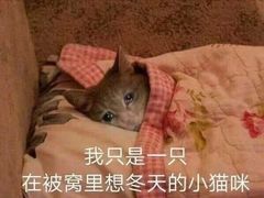 -甜嘟嘟烘焙坊(舒城路店)