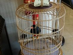 android_upload_pic-月亮河温泉度假酒店